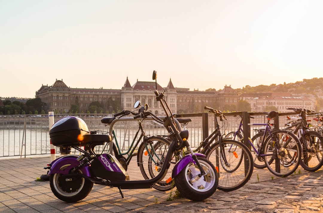 a row of bicycles parked next to a building